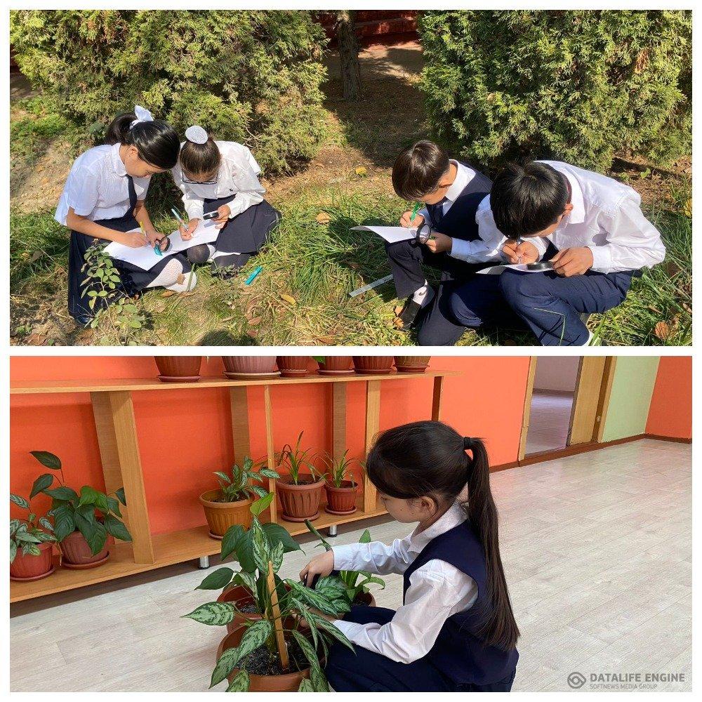 Алматы таза қала акциясы бойынша оқушылар қоршаған орта табиғаты туралы зерртеу жұмысын жүргізді